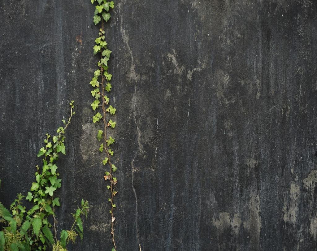 Unlock Your Startup’s Ultimate Growth Secrets